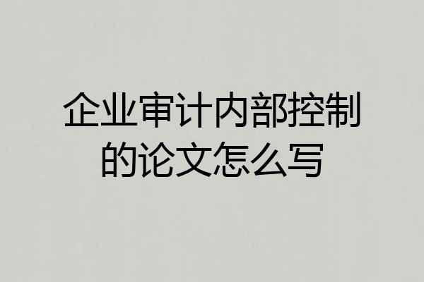 企业审计内部控制的论文怎么写