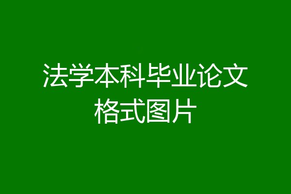 法学本科毕业论文格式图片