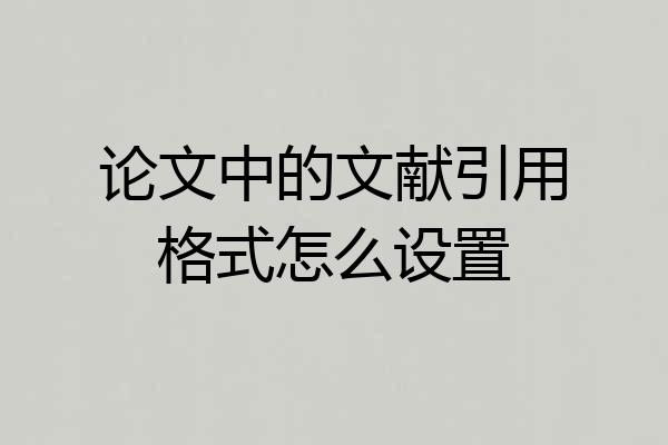 论文中的文献引用格式怎么设置