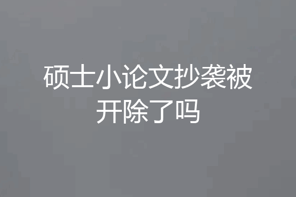 硕士小论文抄袭被开除了吗