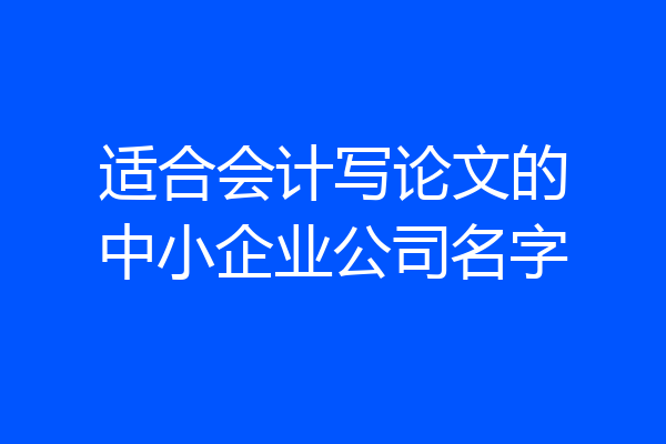 适合会计写论文的中小企业公司名字