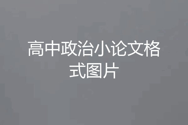 高中政治小论文格式图片