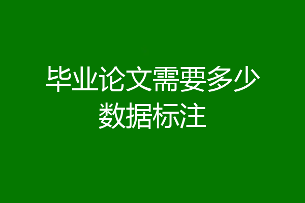 毕业论文需要多少数据标注