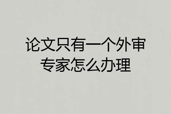 论文只有一个外审专家怎么办理