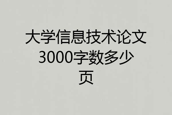 大学信息技术论文3000字数多少页
