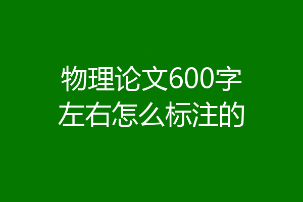 物理论文600字左右怎么标注的