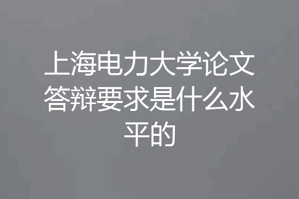 上海电力大学论文答辩要求是什么水平的