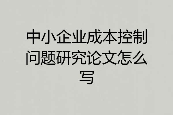 中小企业成本控制问题研究论文怎么写