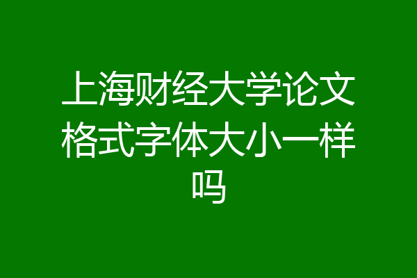 上海财经大学论文格式字体大小一样吗