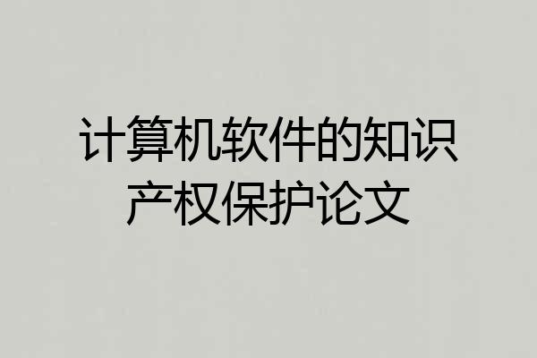 计算机软件的知识产权保护论文