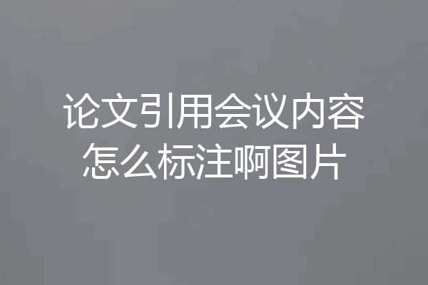 论文引用会议内容怎么标注啊图片