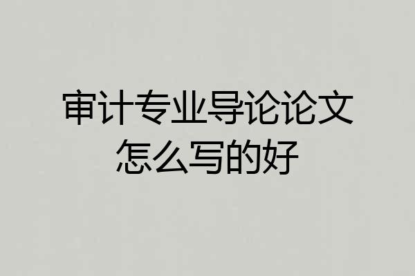 审计专业导论论文怎么写的好