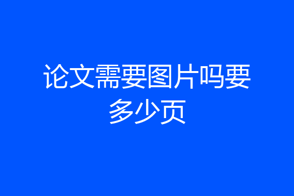 论文需要图片吗要多少页