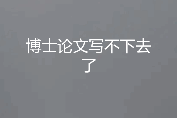 博士论文写不下去了