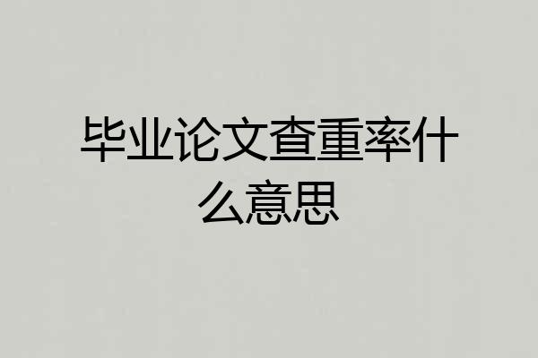 毕业论文查重率什么意思