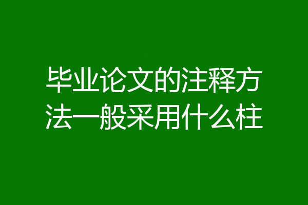 毕业论文的注释方法一般采用什么柱