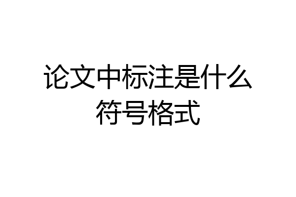 论文中标注是什么符号格式