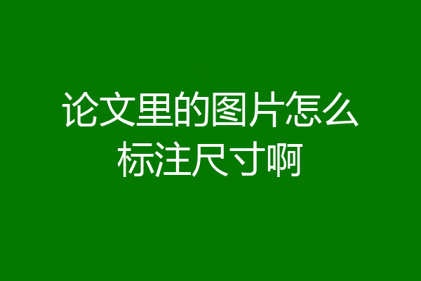 论文里的图片怎么标注尺寸啊