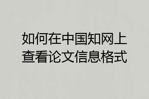 如何在中国知网上查看论文信息格式