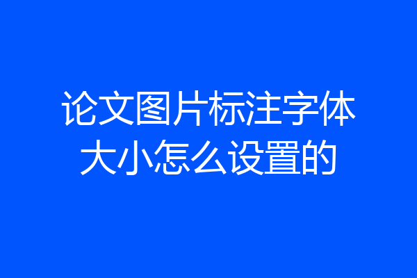论文图片标注字体大小怎么设置的