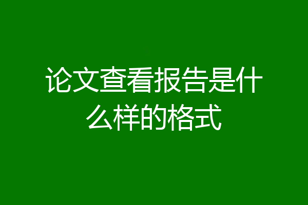 论文查看报告是什么样的格式