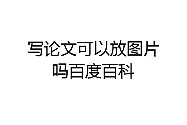 写论文可以放图片吗百度百科