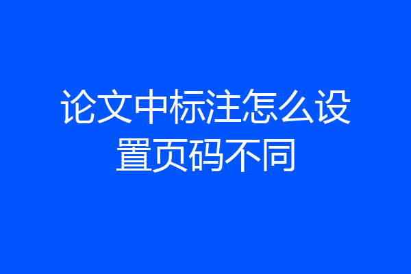 论文中标注怎么设置页码不同