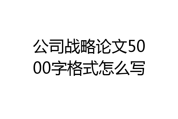 公司战略论文5000字格式怎么写
