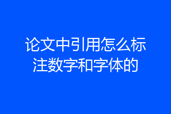 论文中引用怎么标注数字和字体的