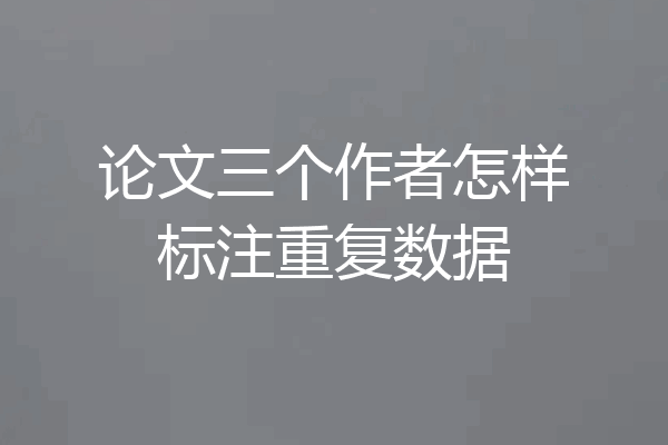 论文三个作者怎样标注重复数据