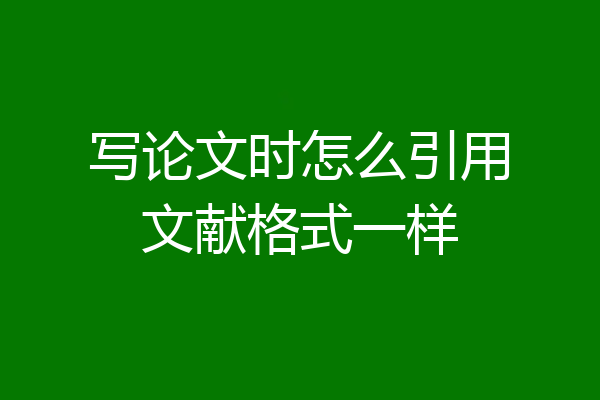 写论文时怎么引用文献格式一样