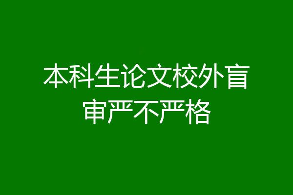 本科生论文校外盲审严不严格