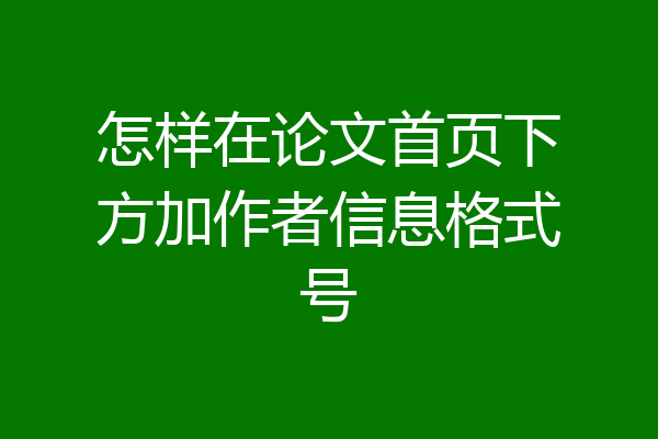 怎样在论文首页下方加作者信息格式号