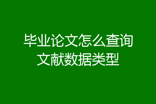 毕业论文怎么查询文献数据类型