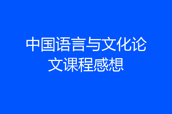 中国语言与文化论文课程感想