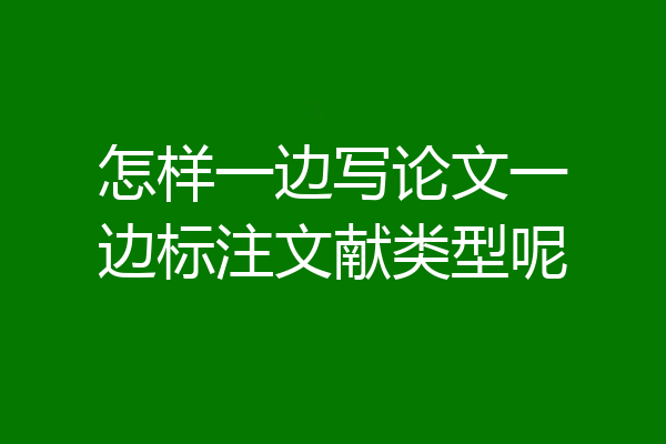 怎样一边写论文一边标注文献类型呢