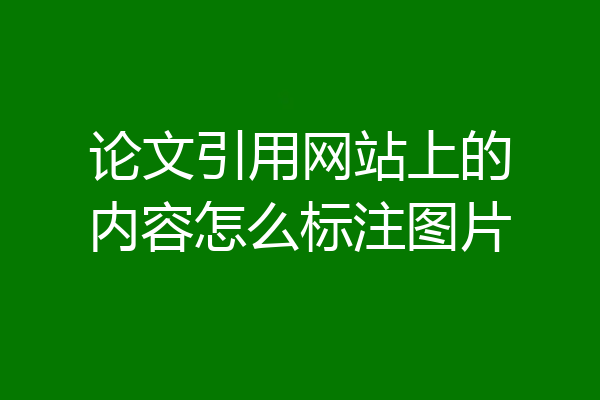 论文引用网站上的内容怎么标注图片