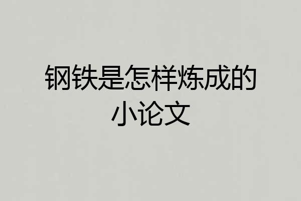钢铁是怎样炼成的小论文