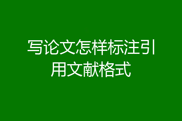 写论文怎样标注引用文献格式