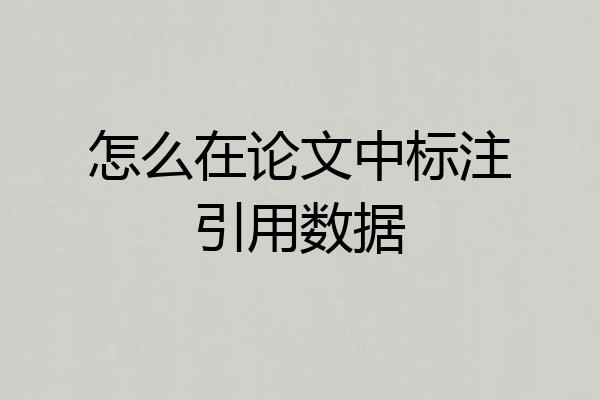 怎么在论文中标注引用数据
