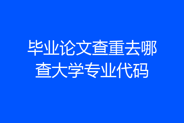 毕业论文查重去哪查大学专业代码