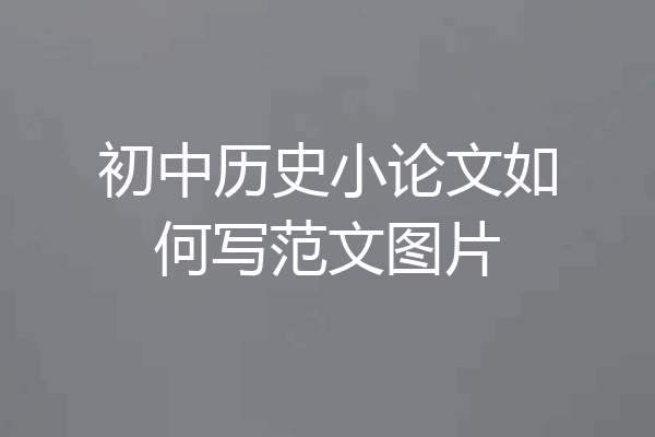 初中历史小论文如何写范文图片