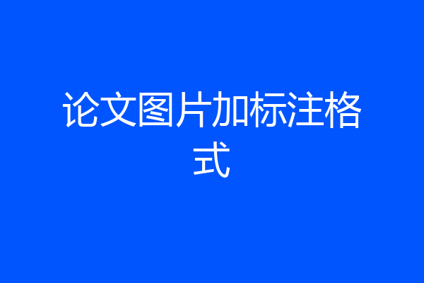 论文图片加标注格式