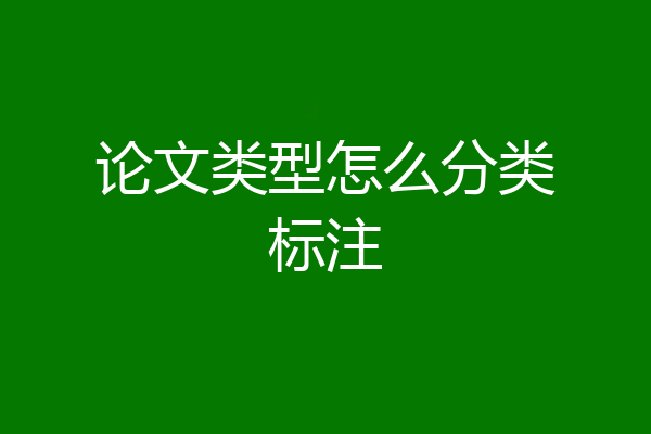 论文类型怎么分类标注