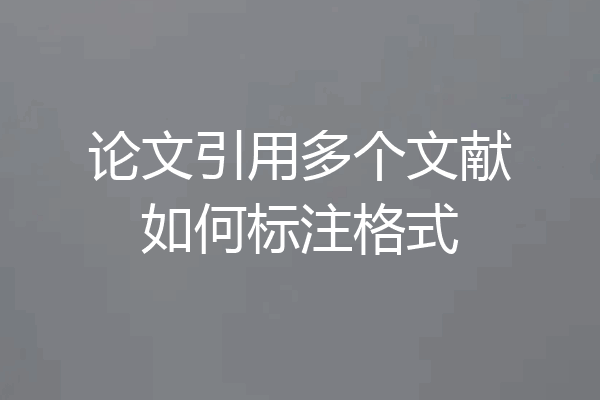 论文引用多个文献如何标注格式