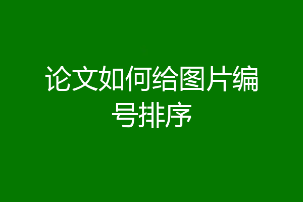 论文如何给图片编号排序
