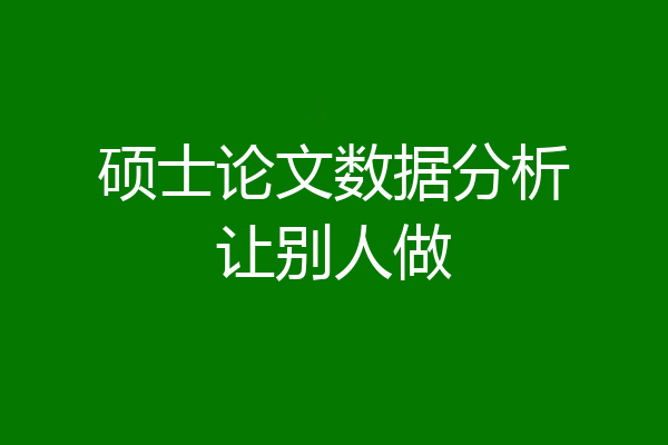 硕士论文数据分析让别人做