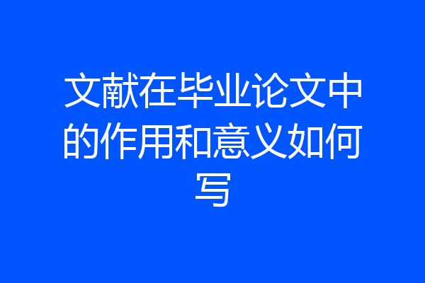 文献在毕业论文中的作用和意义如何写