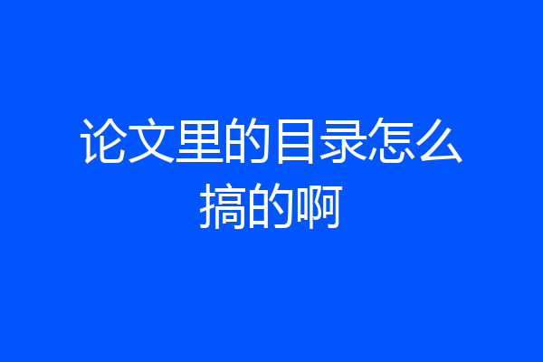 论文里的目录怎么搞的啊