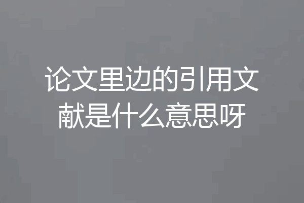 论文里边的引用文献是什么意思呀